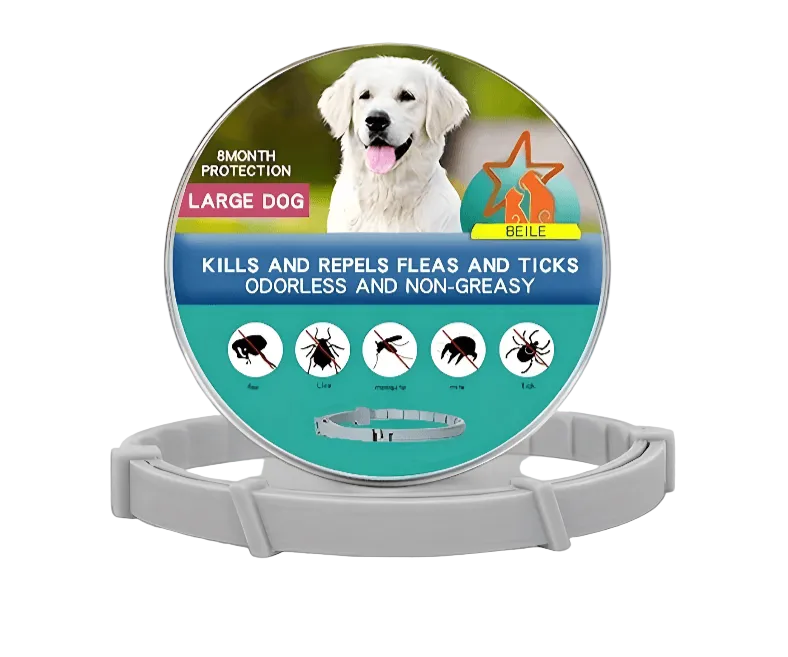 DailyGuard Pet Collar - Adjustable Water-Resistant Pet Collar