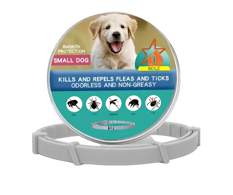 DailyGuard Pet Collar - Adjustable Water-Resistant Pet Collar