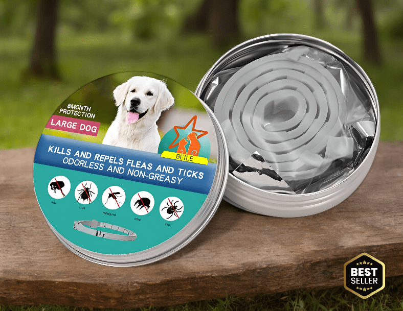 DailyGuard Pet Collar - Adjustable Water-Resistant Pet Collar