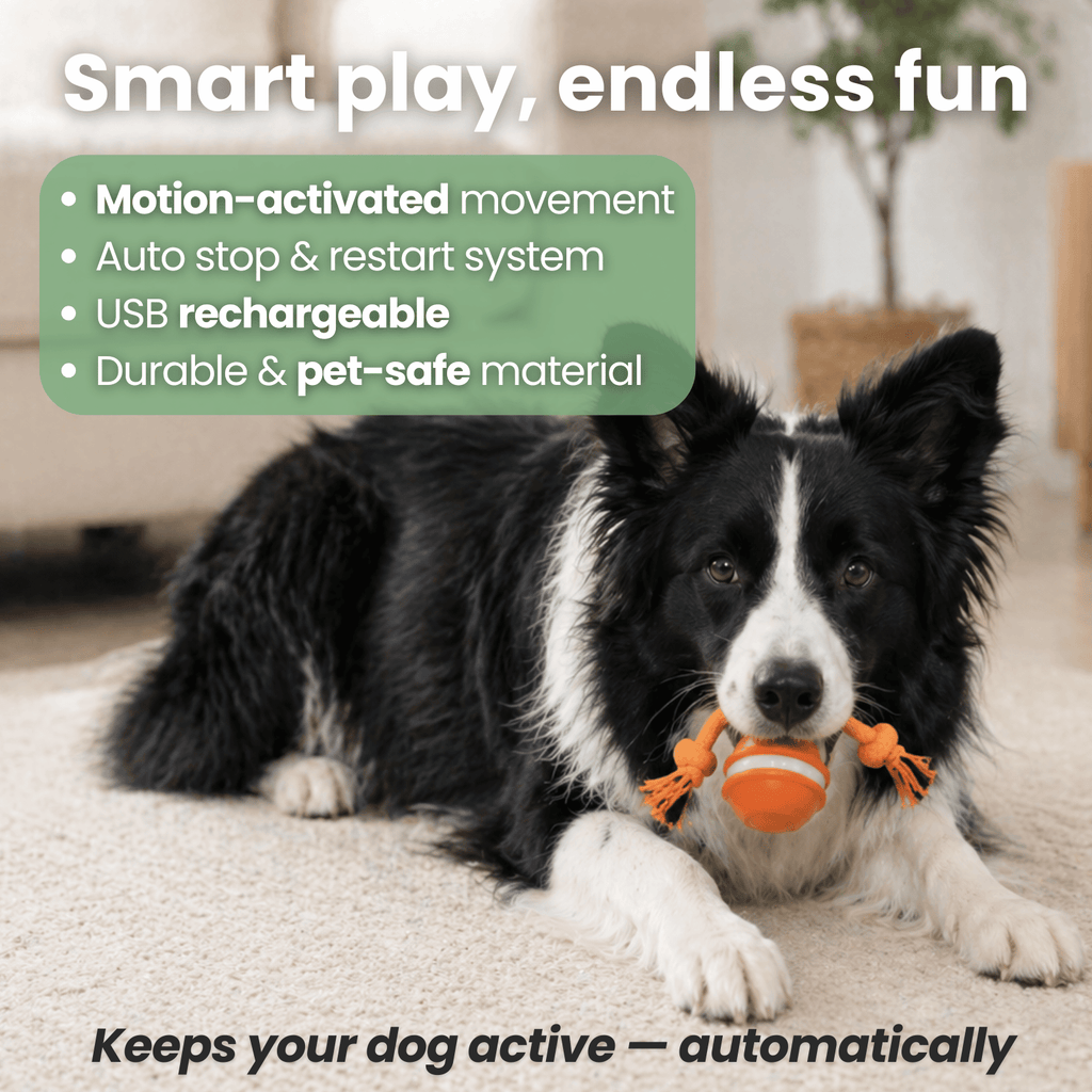 MotionRoll Interactive Dog Play Ball