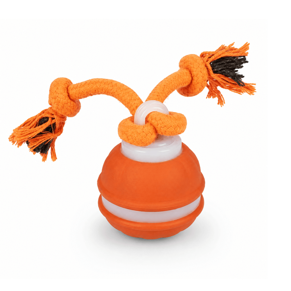 MotionRoll Interactive Dog Play Ball