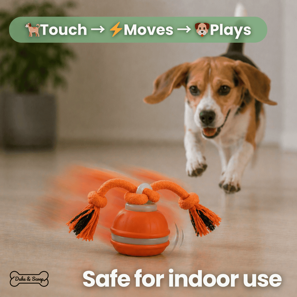MotionRoll Interactive Dog Play Ball