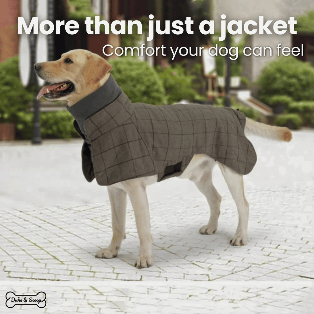 LondonLuxe Winter Dog Coat