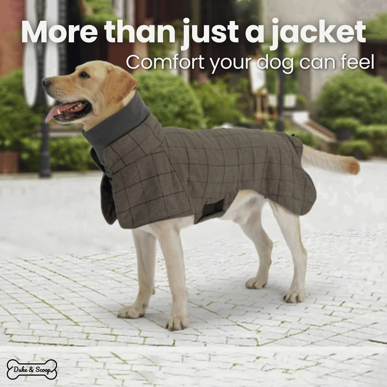 LondonLuxe Winter Dog Coat