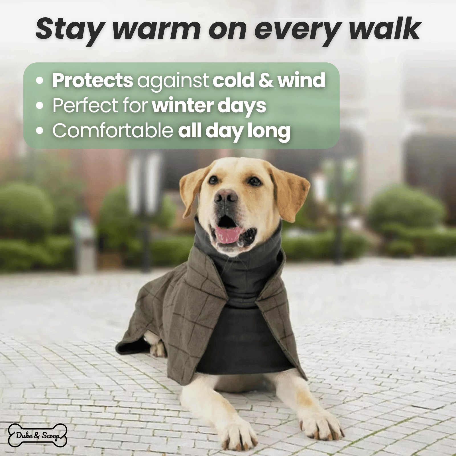 LondonLuxe Winter Dog Coat