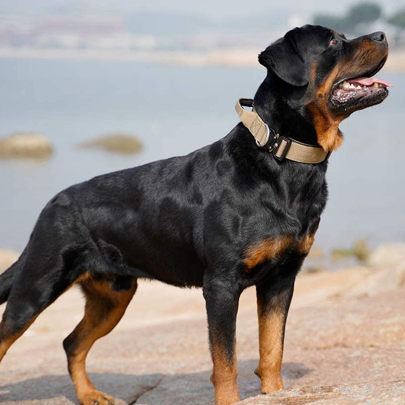 TitanControl Tactical Dog Collar - Heavy Duty Training Collar