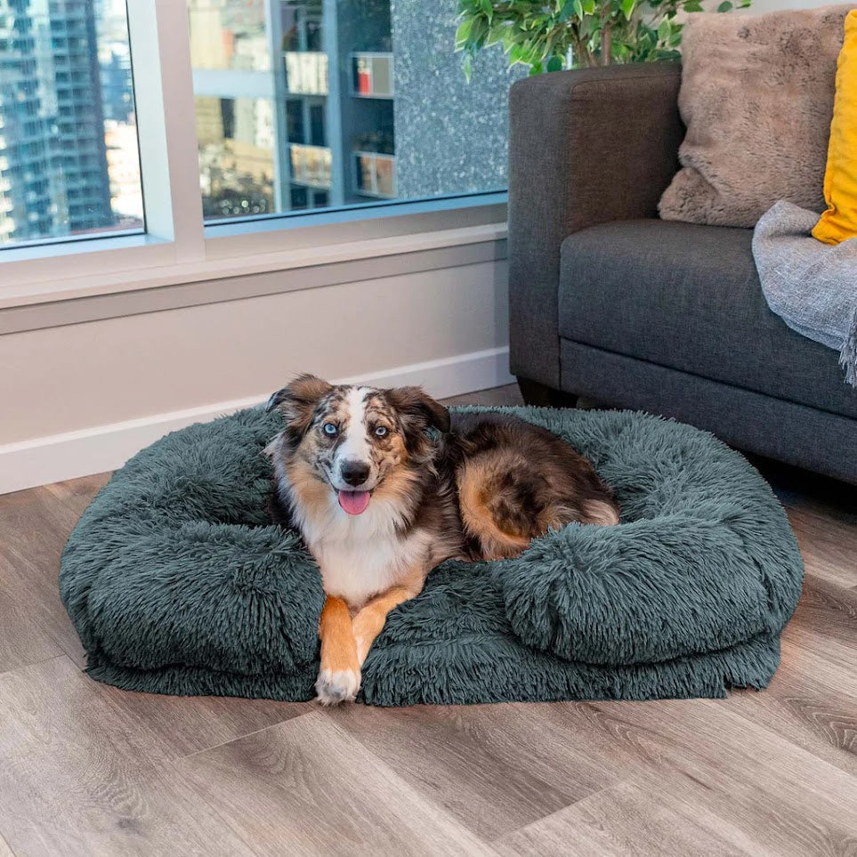 CharlieComfort Dog Bed - Memory Foam Support Pet Bed