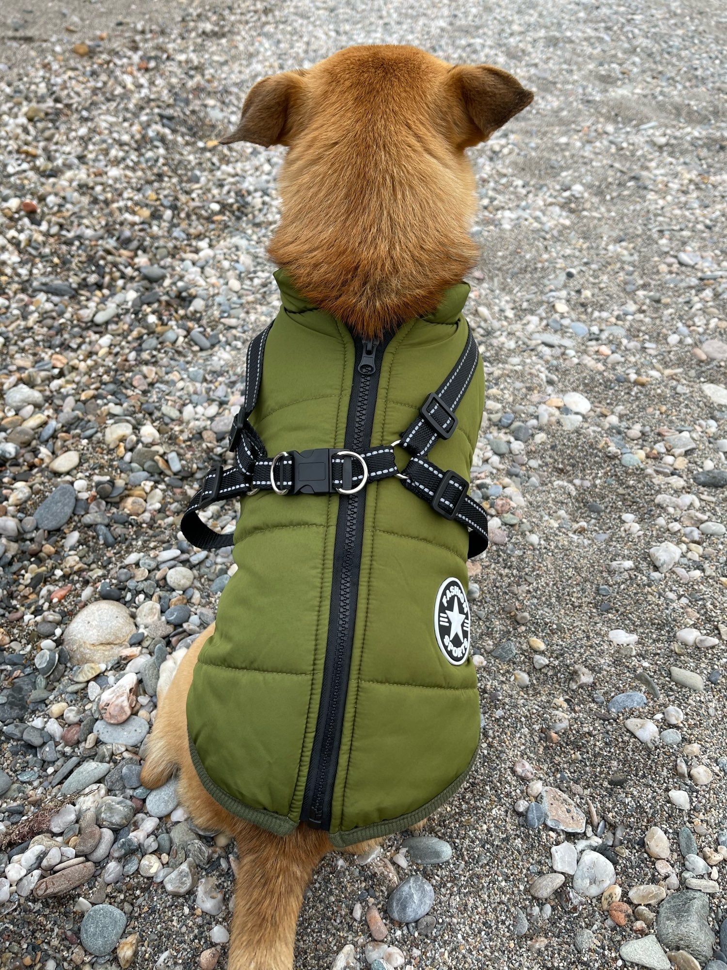 FrostShield Dog Jacket - Waterproof Coat with Built-In Harness