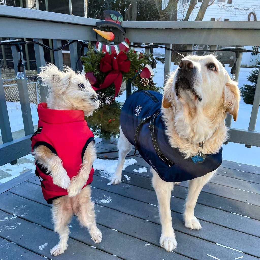 FrostShield Dog Jacket - Waterproof Coat with Built-In Harness
