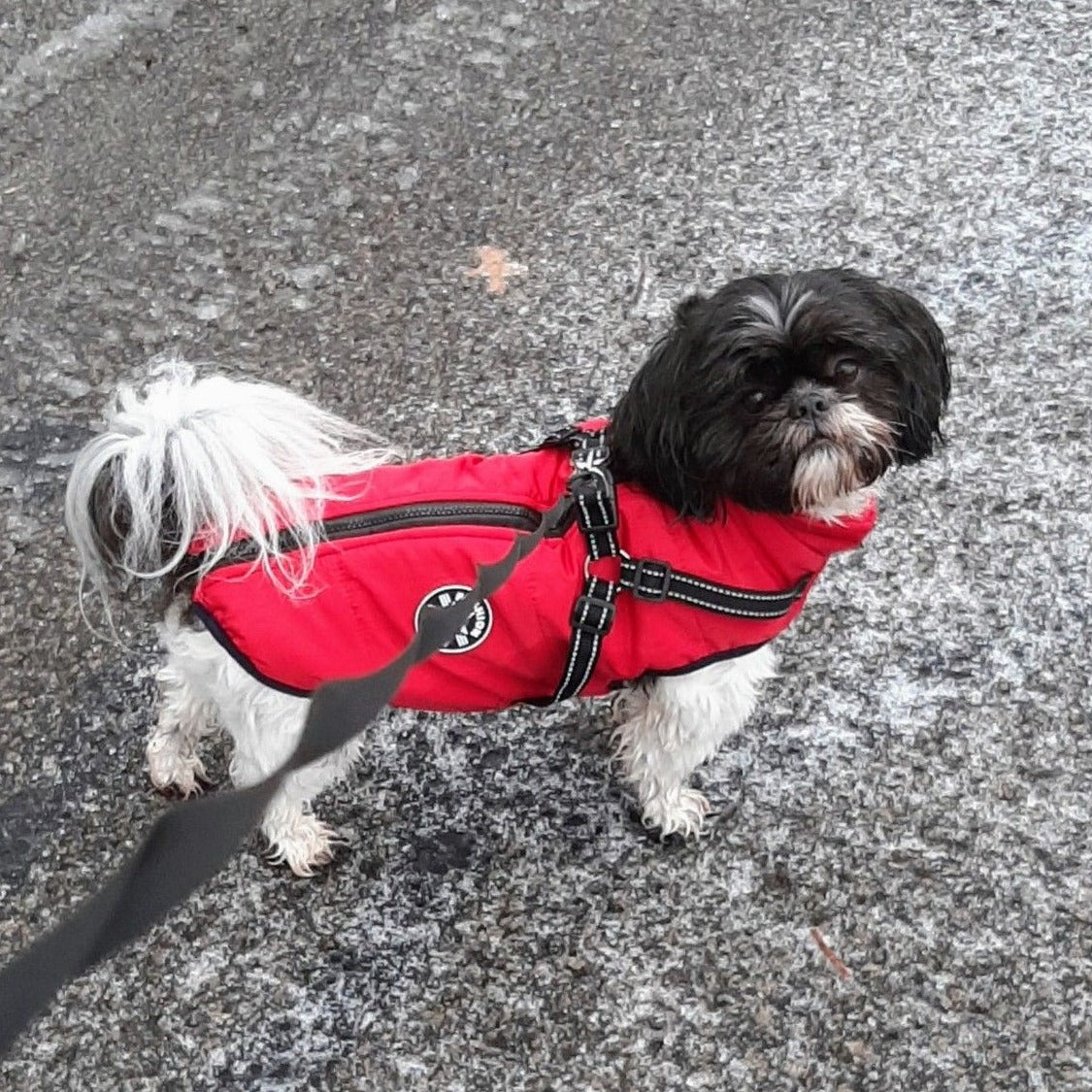 FrostShield Dog Jacket - Waterproof Coat with Built-In Harness
