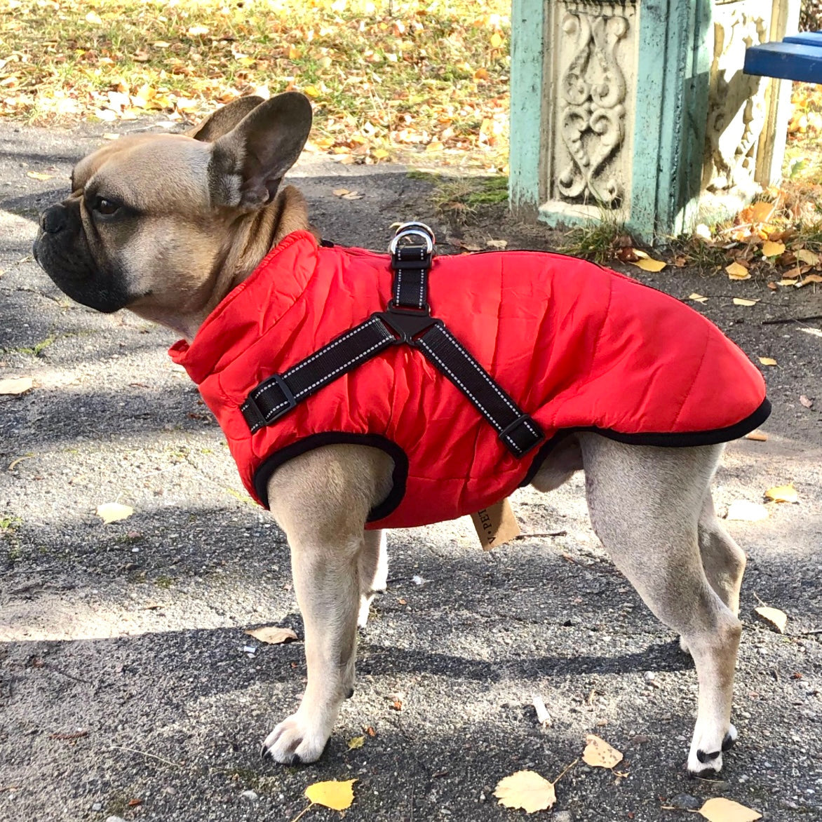 FrostShield Dog Jacket - Waterproof Coat with Built-In Harness