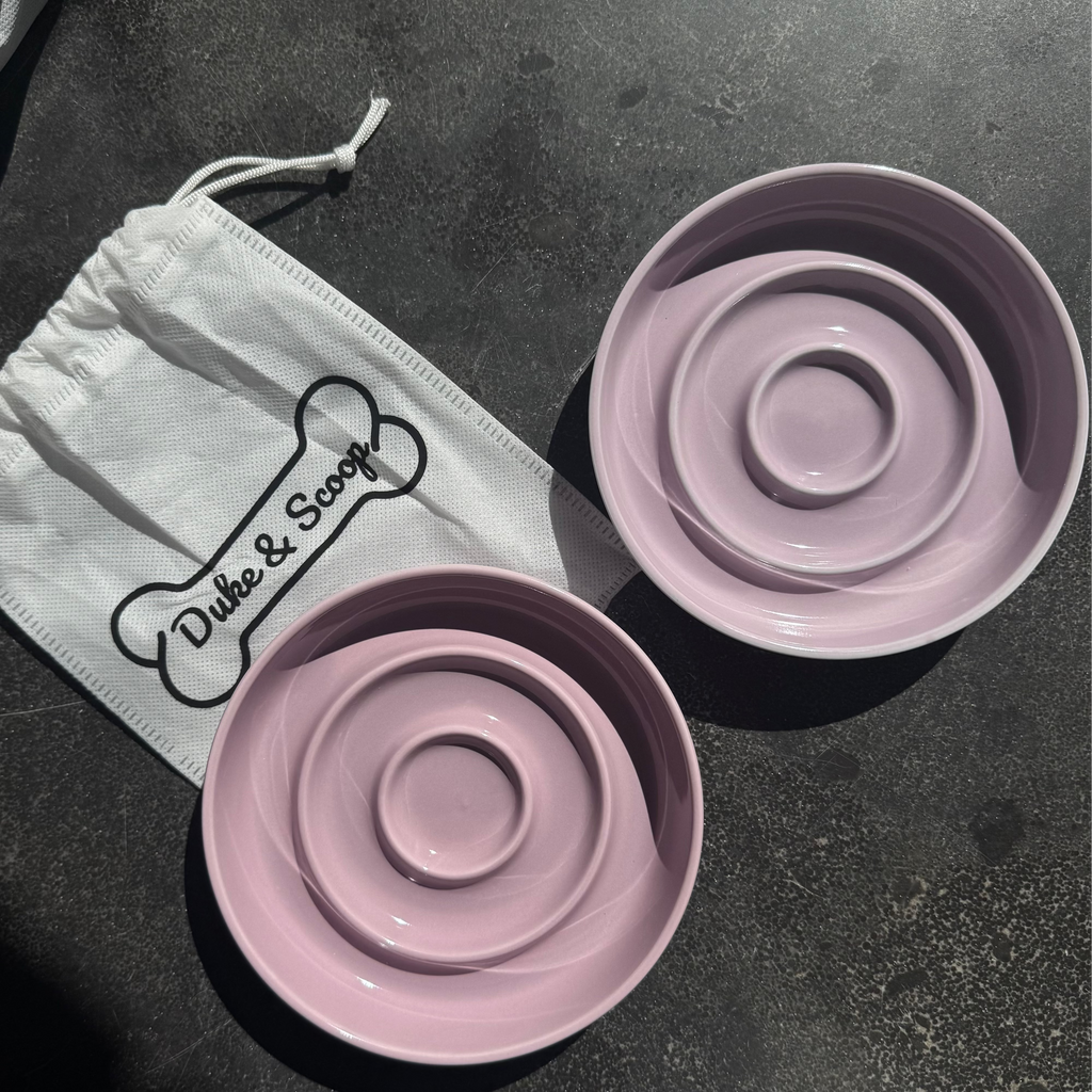 SlowBite Ceramic Pet Feeding Bowl
