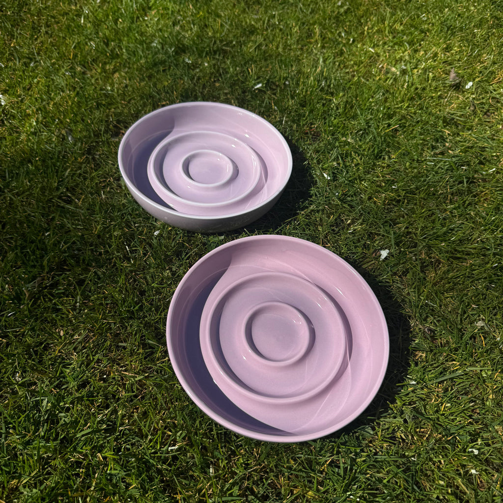 SlowBite Ceramic Pet Feeding Bowl