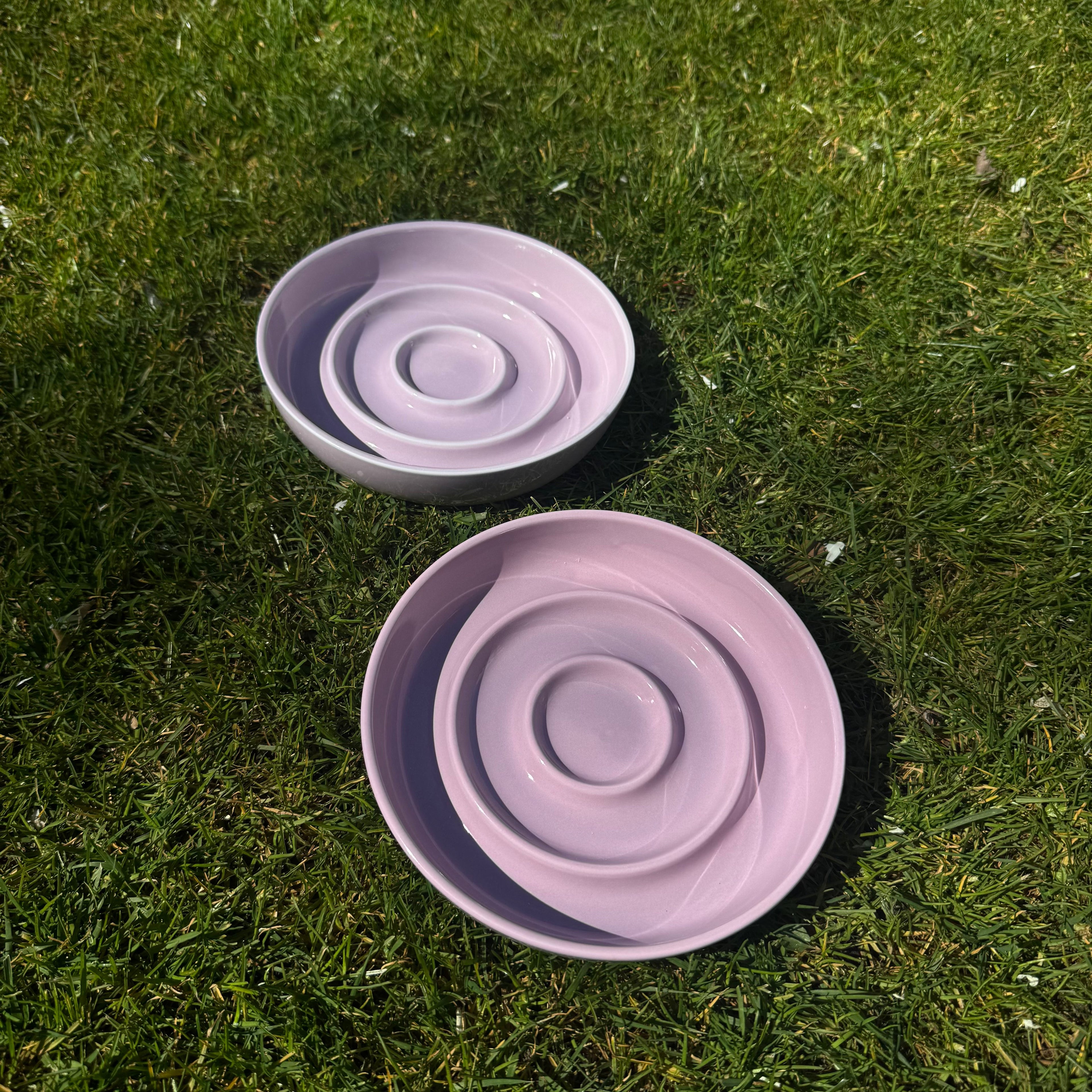 SlowBite Ceramic Pet Feeding Bowl