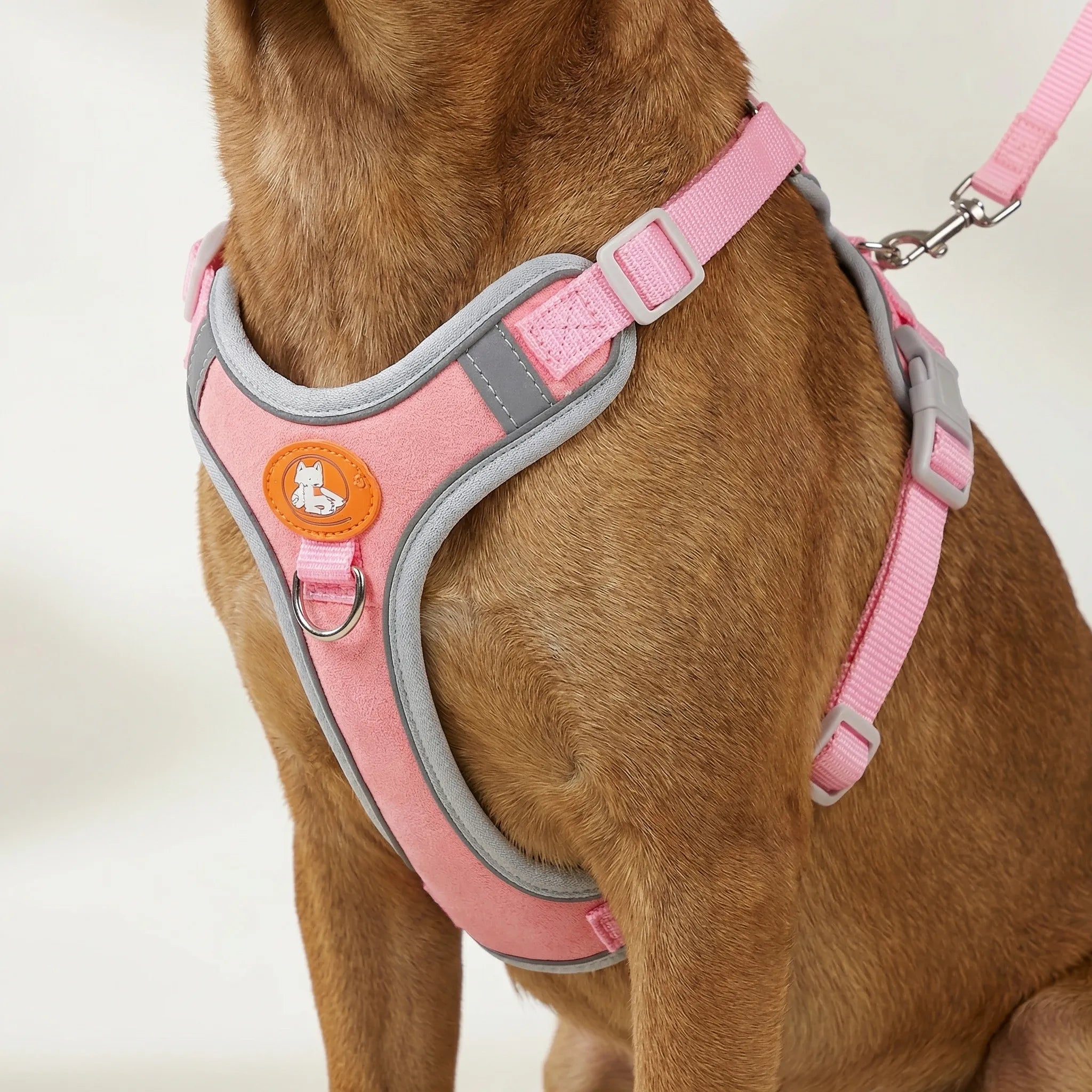 ComfortFit No-Pull Dog Harness & Lead Set for Small & Medium Dogs