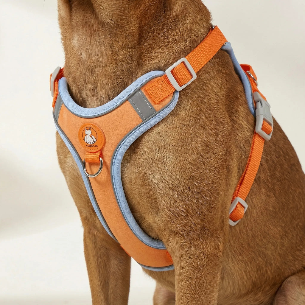 ComfortFit No-Pull Dog Harness & Lead Set for Small & Medium Dogs