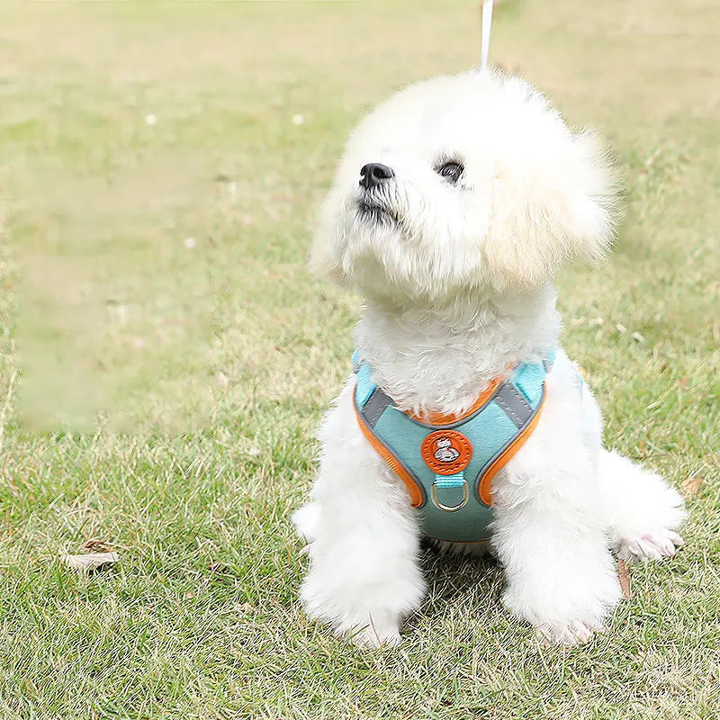 ComfortFit No-Pull Dog Harness & Lead Set for Small & Medium Dogs