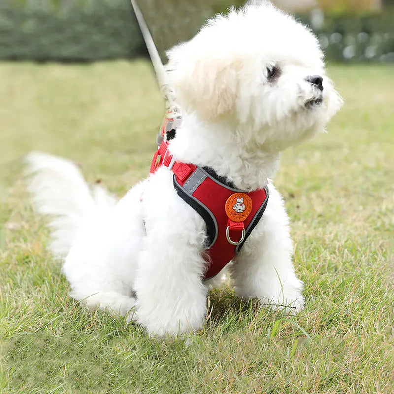 ComfortFit No-Pull Dog Harness & Lead Set for Small & Medium Dogs