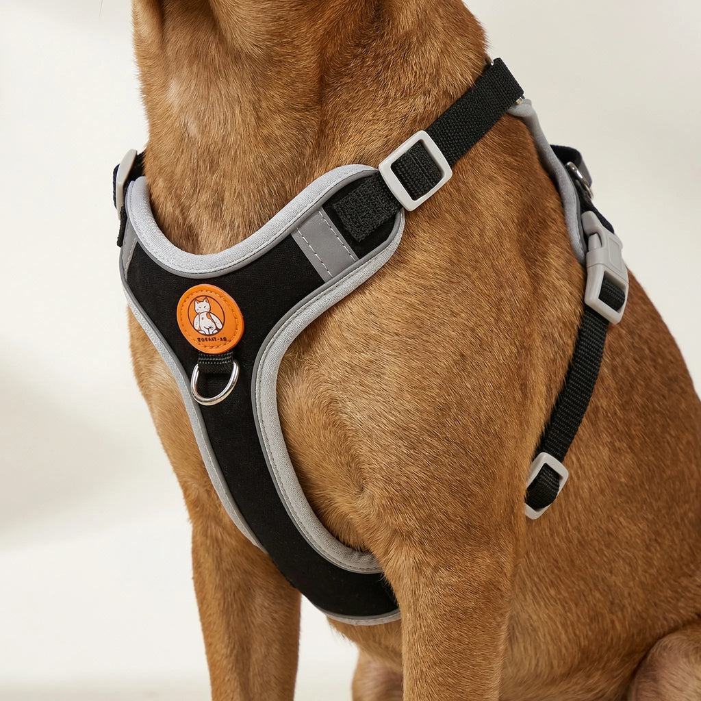 ComfortFit No-Pull Dog Harness & Lead Set for Small & Medium Dogs