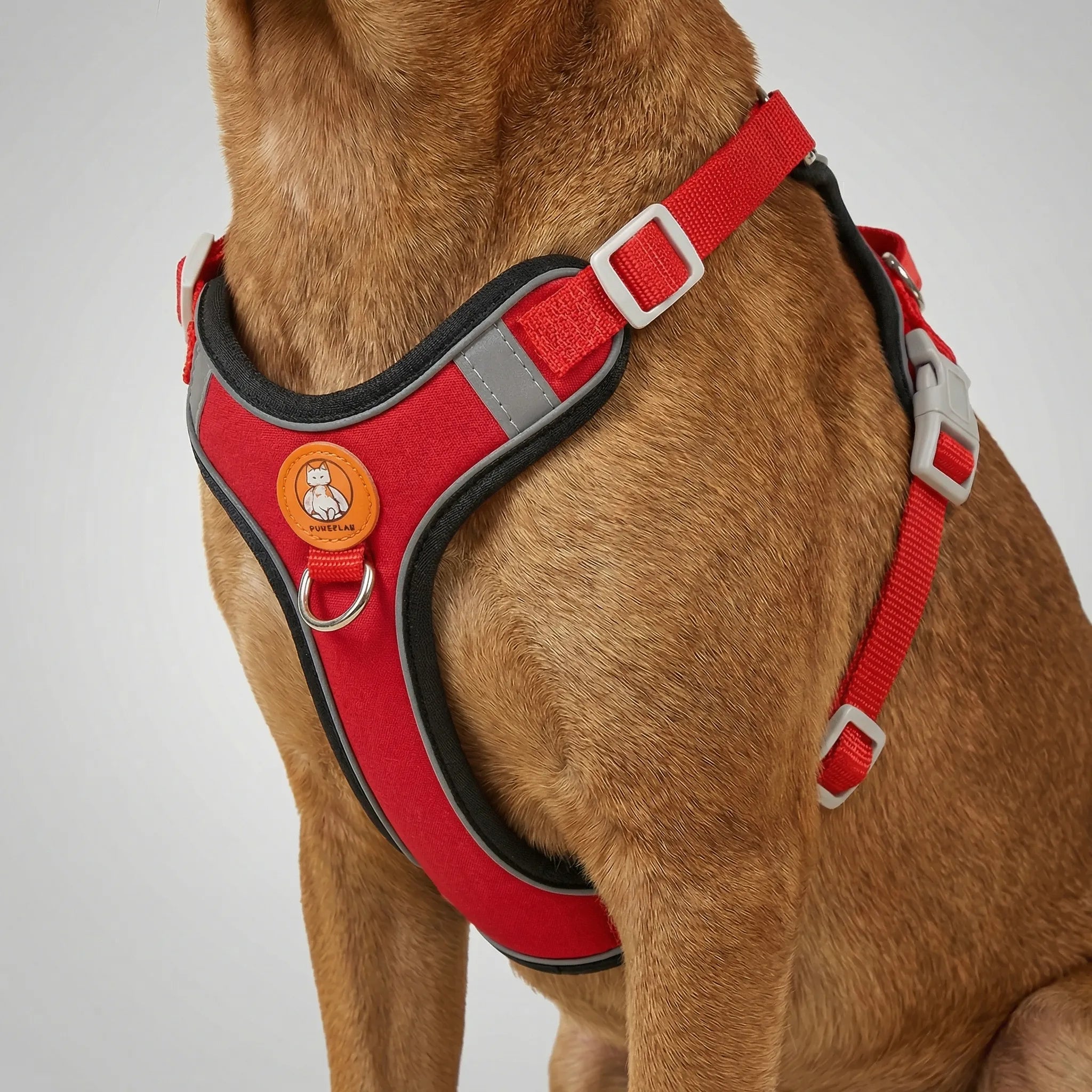 ComfortFit No-Pull Dog Harness & Lead Set for Small & Medium Dogs