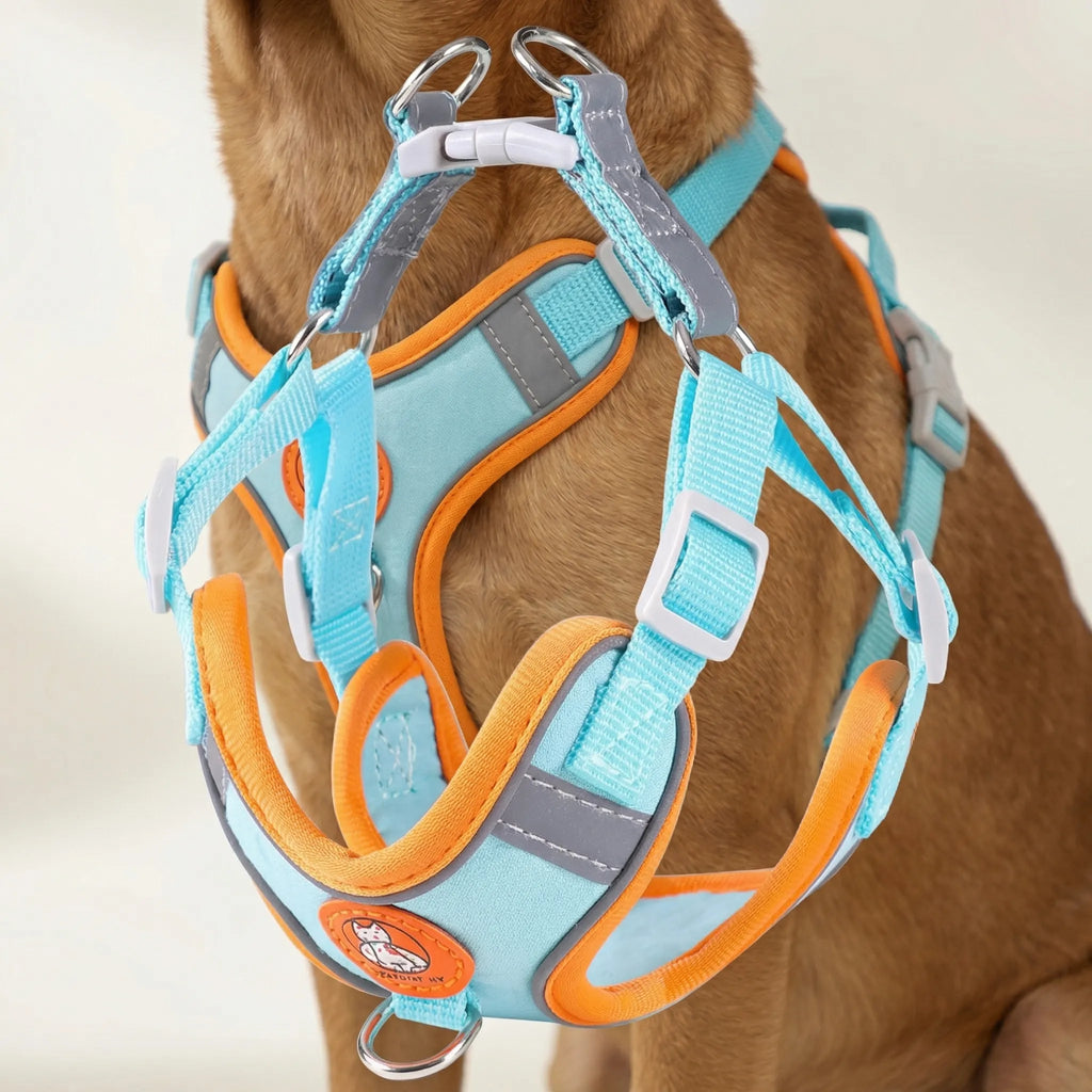 ComfortFit No-Pull Dog Harness & Lead Set for Small & Medium Dogs