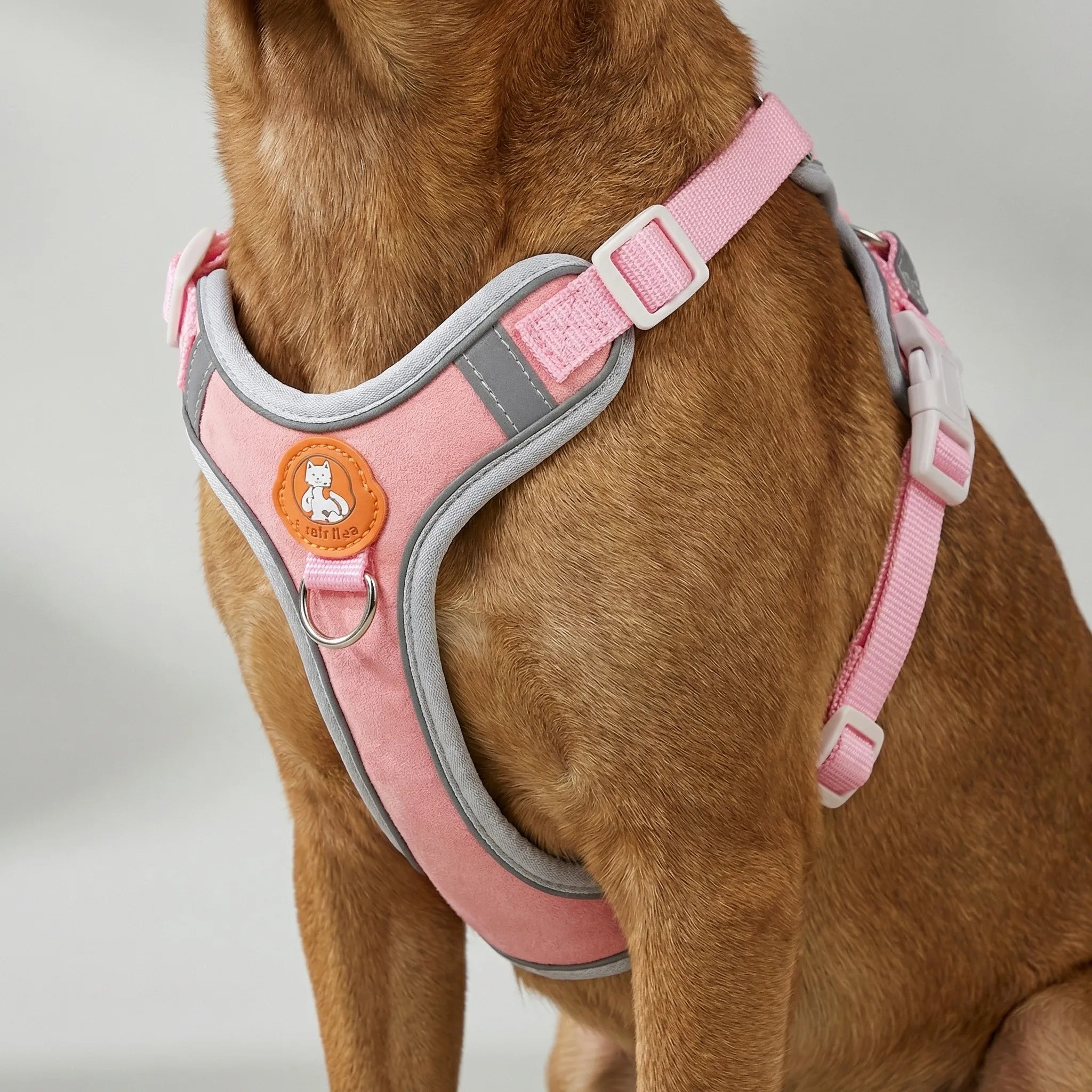 ComfortFit No-Pull Dog Harness & Lead Set for Small & Medium Dogs