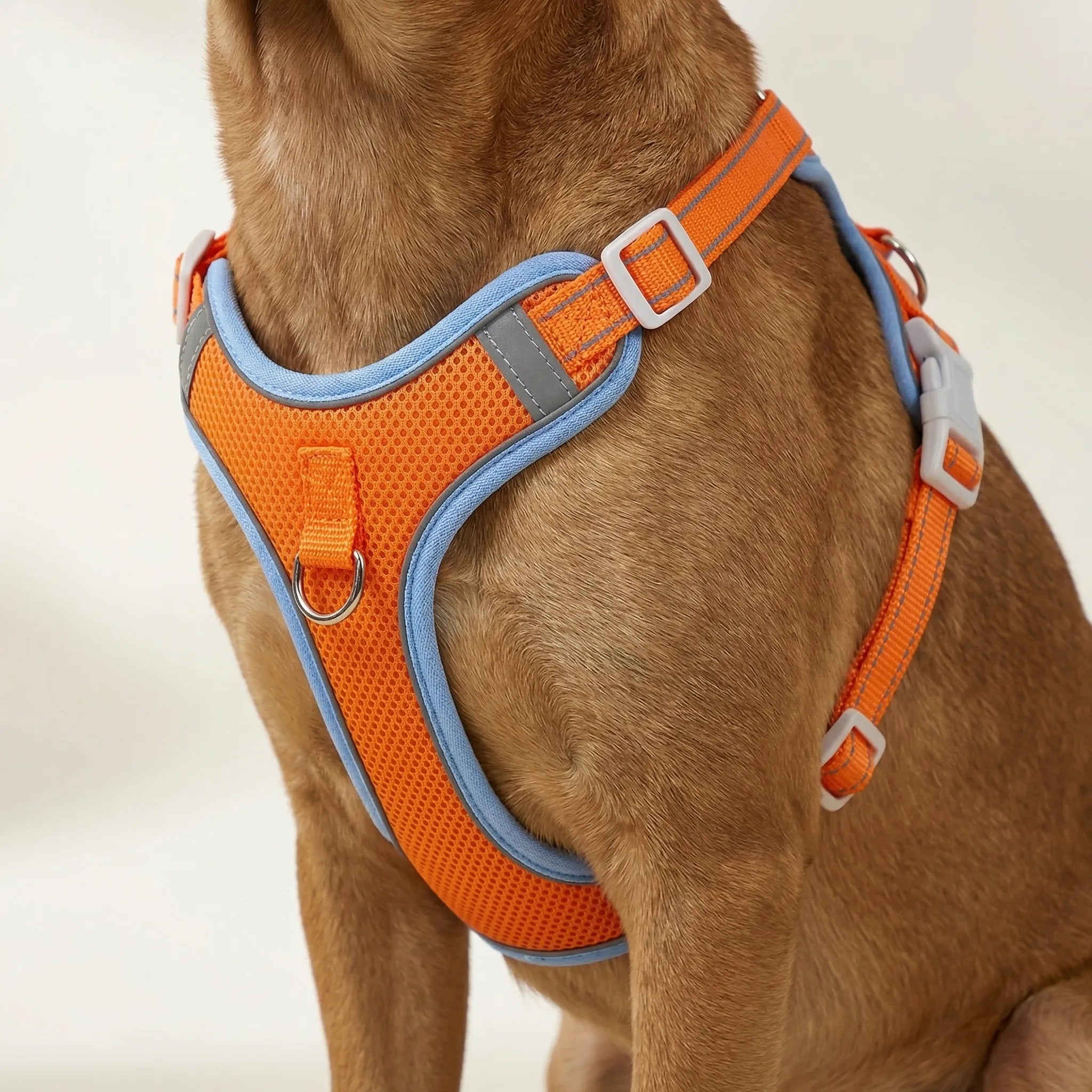 ComfortFit No-Pull Dog Harness & Lead Set for Small & Medium Dogs