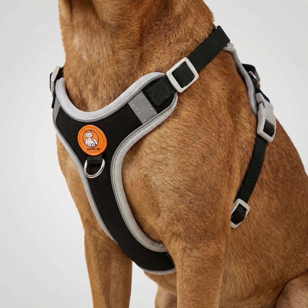 ComfortFit No-Pull Dog Harness & Lead Set for Small & Medium Dogs