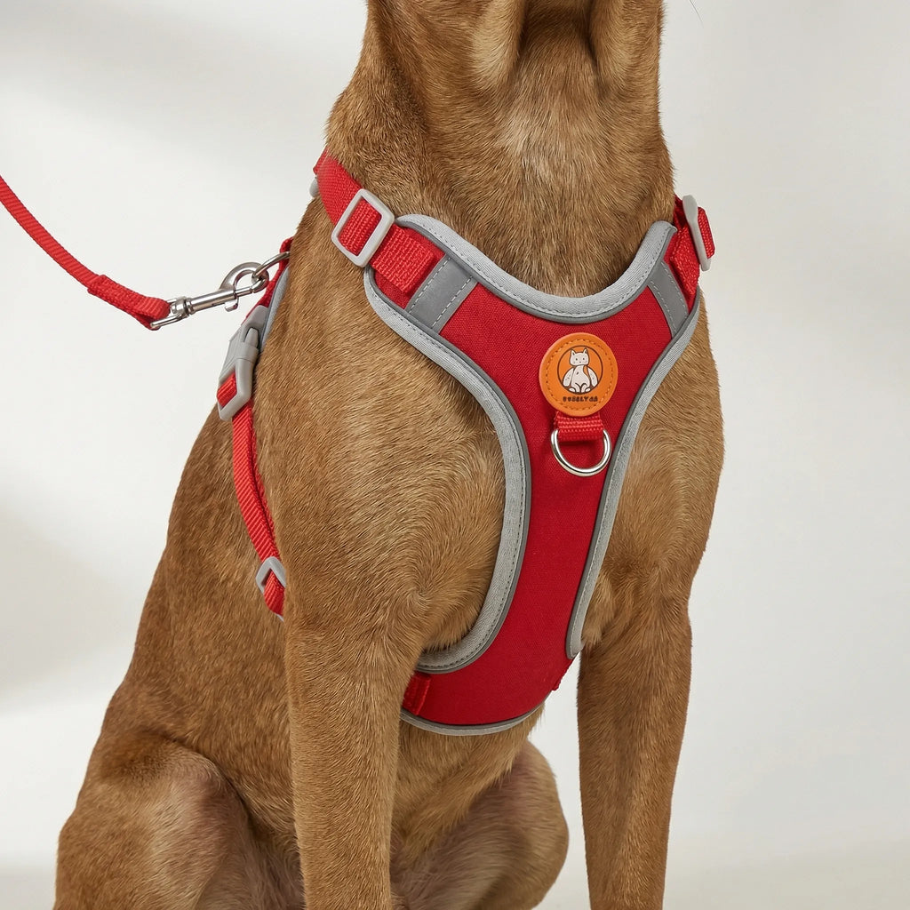 ComfortFit No-Pull Dog Harness & Lead Set for Small & Medium Dogs