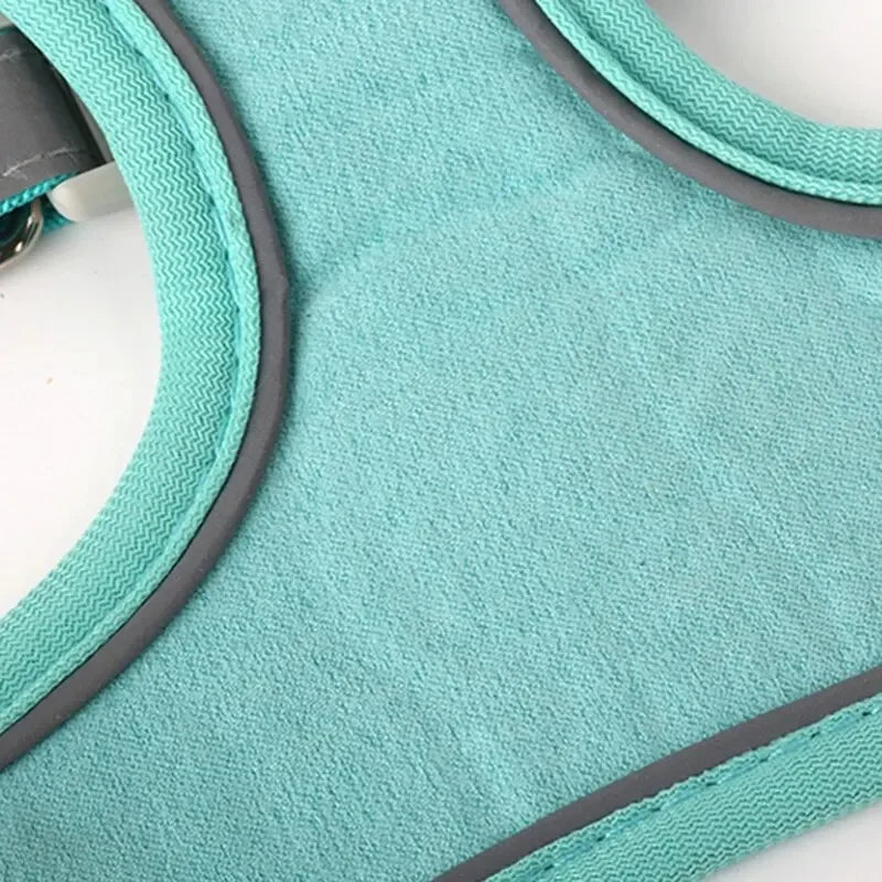 PetEase Vest Harness with Retractable Lead for Small Dogs & Cats
