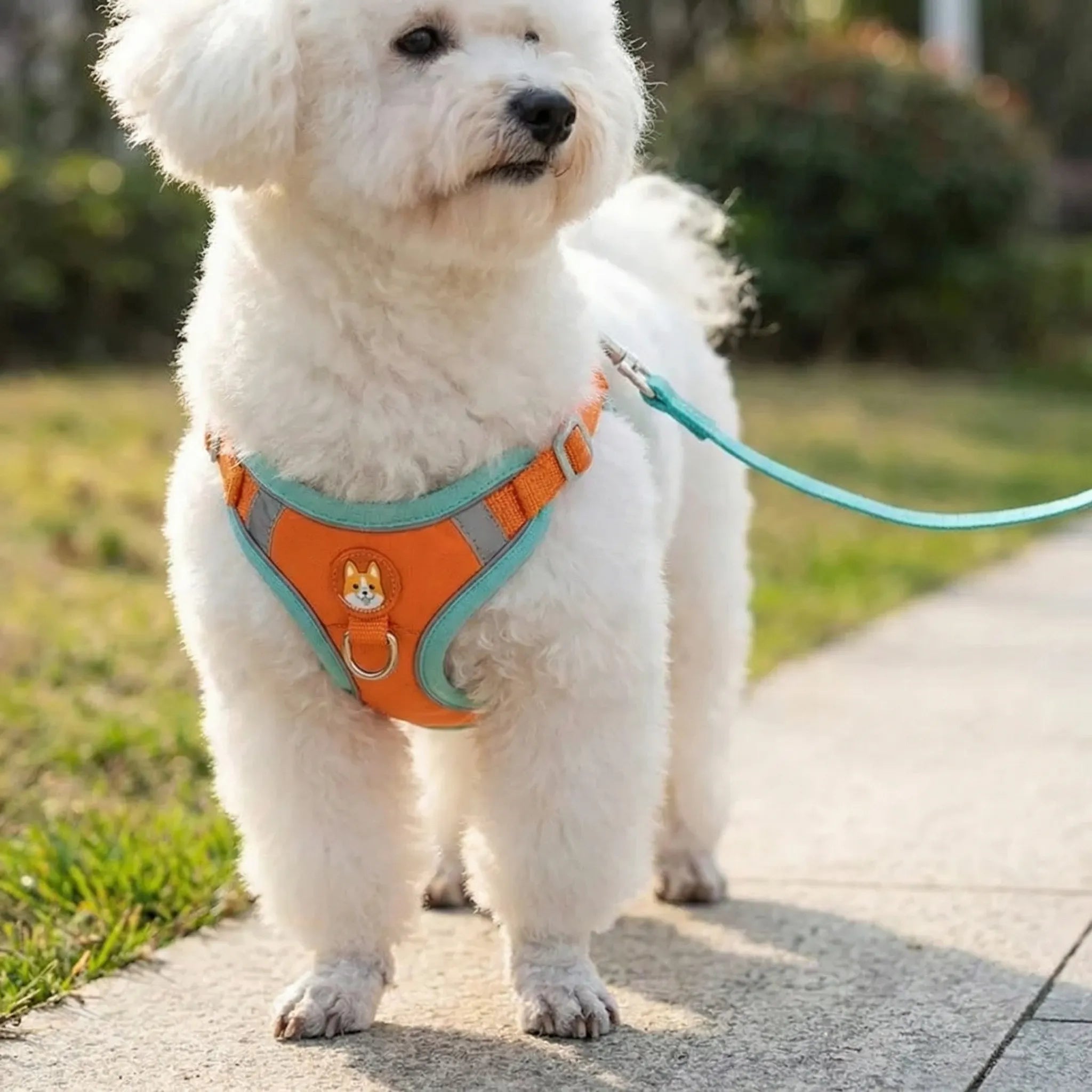 PetEase Vest Harness with Retractable Lead for Small Dogs & Cats