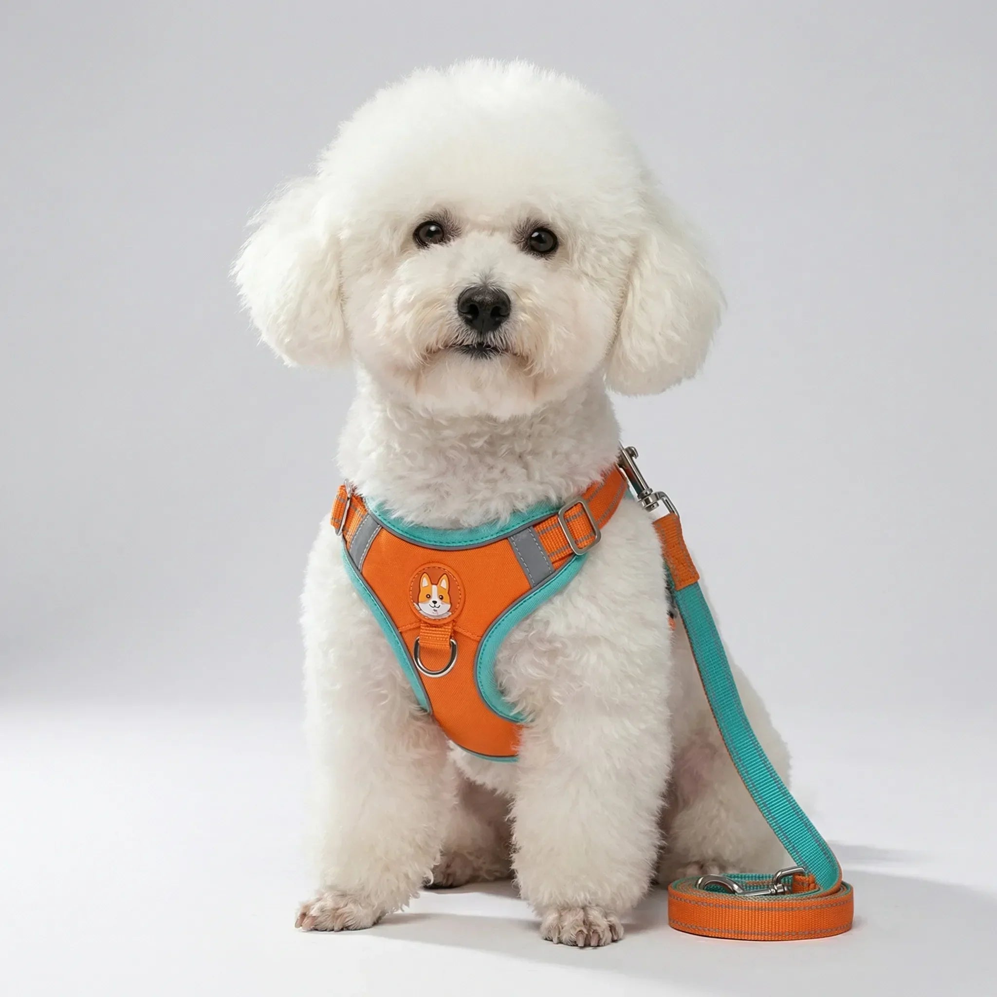 PetEase Vest Harness with Retractable Lead for Small Dogs & Cats