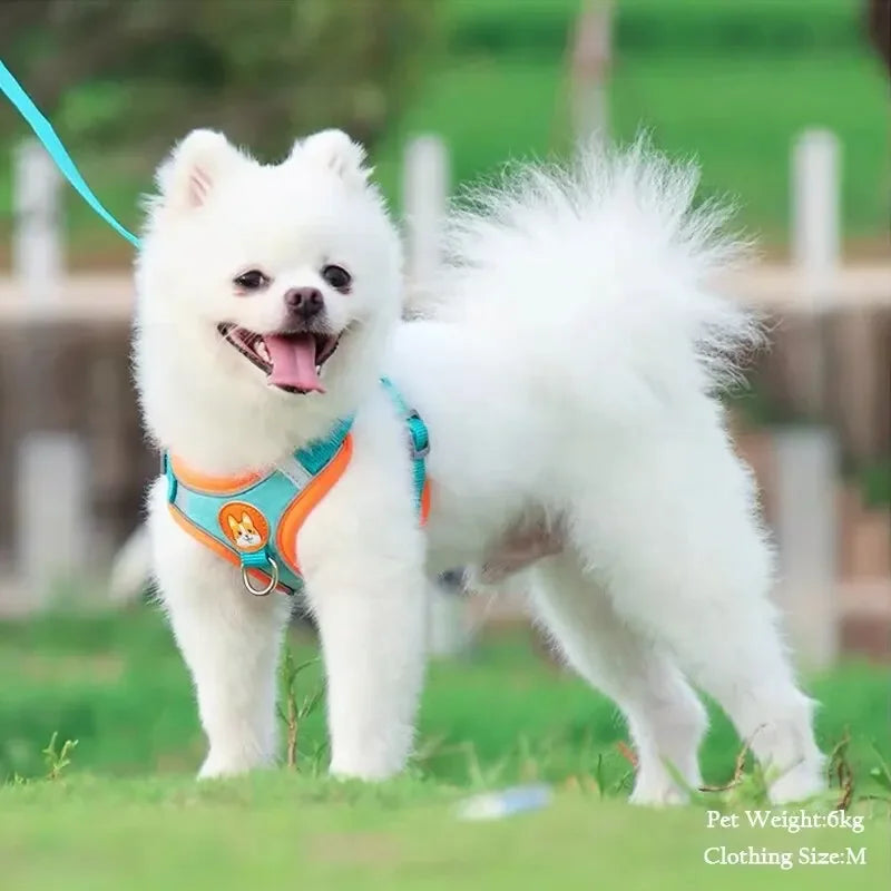PetEase Vest Harness with Retractable Lead for Small Dogs & Cats