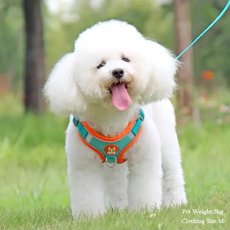 PetEase Vest Harness with Retractable Lead for Small Dogs & Cats