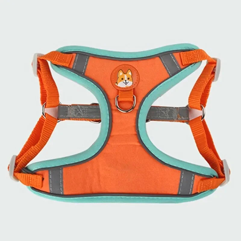 PetEase Vest Harness with Retractable Lead for Small Dogs & Cats