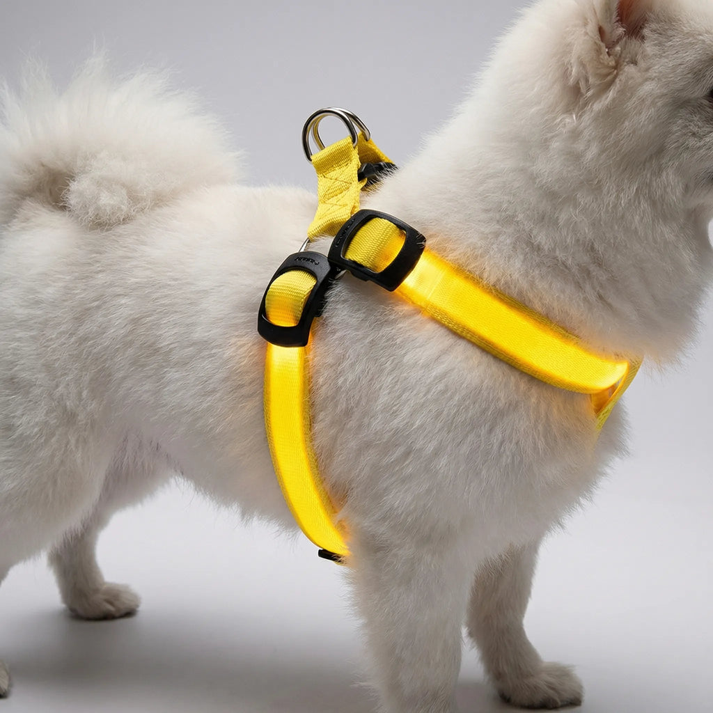 GlowSafe LED Dog Harness USB Rechargeable Reflective Vest