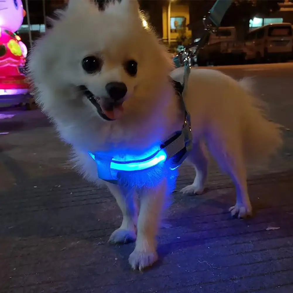 GlowSafe LED Dog Harness USB Rechargeable Reflective Vest