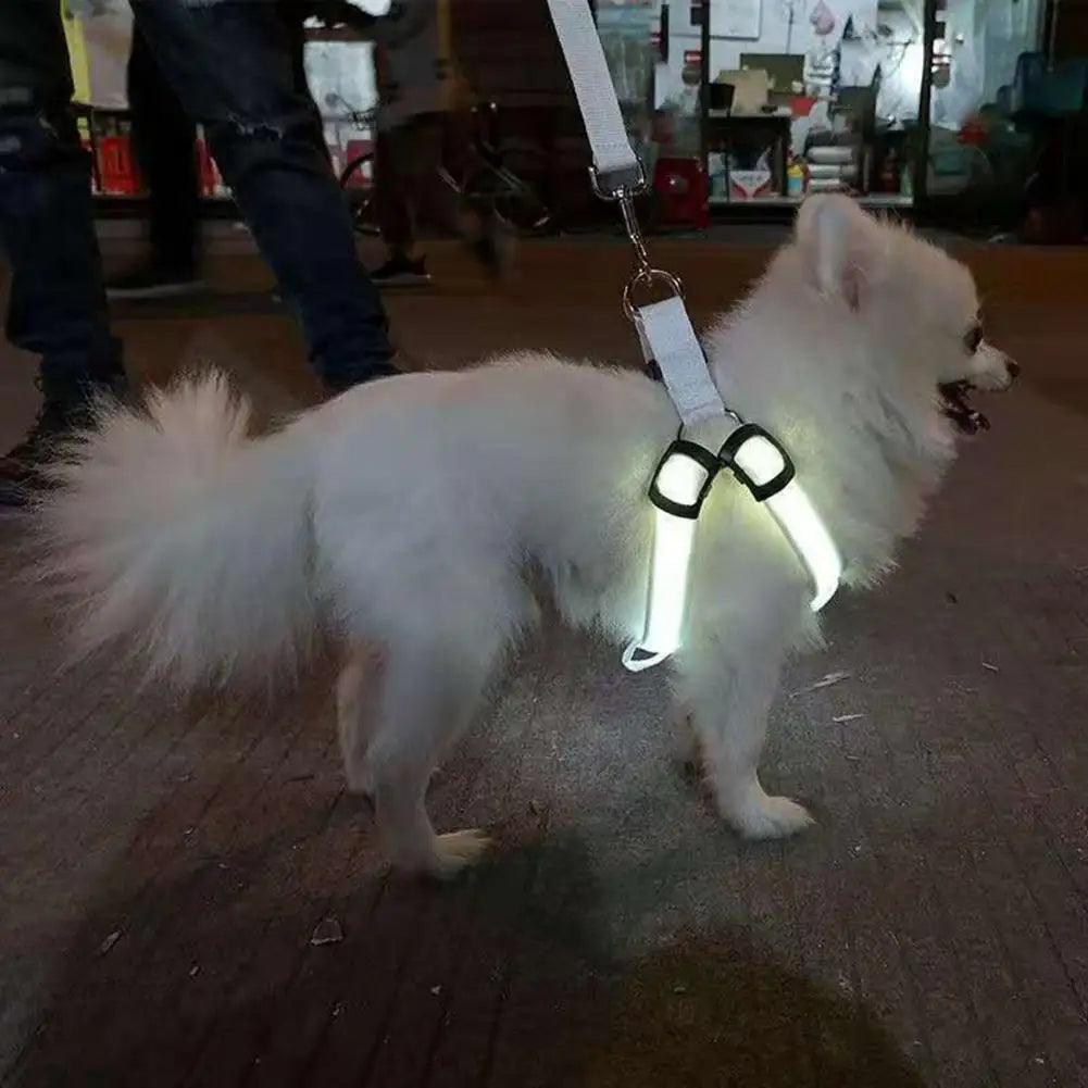 GlowSafe LED Dog Harness USB Rechargeable Reflective Vest