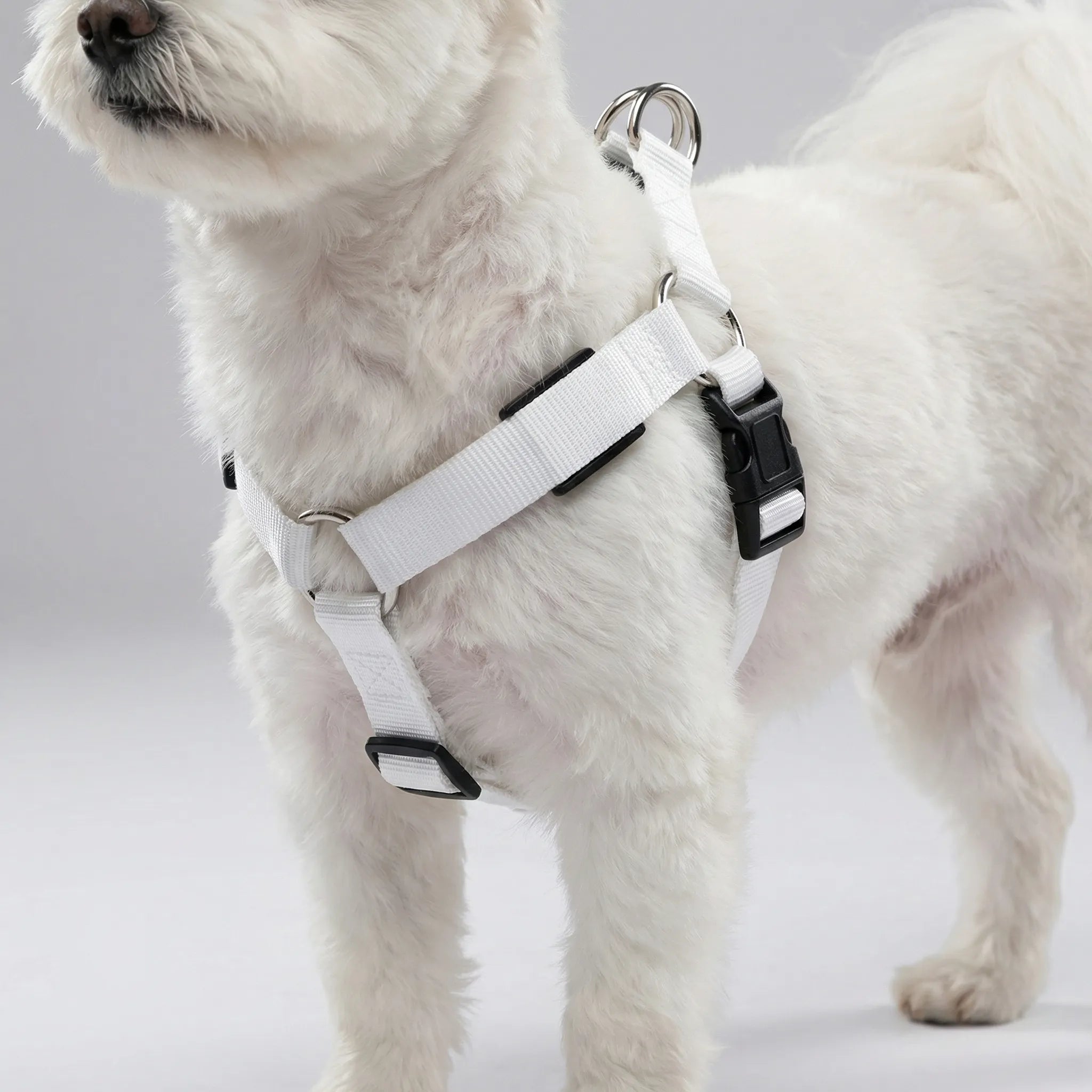 GlowSafe LED Dog Harness USB Rechargeable Reflective Vest