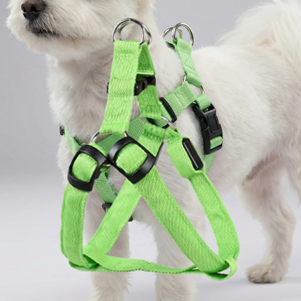 GlowSafe LED Dog Harness USB Rechargeable Reflective Vest