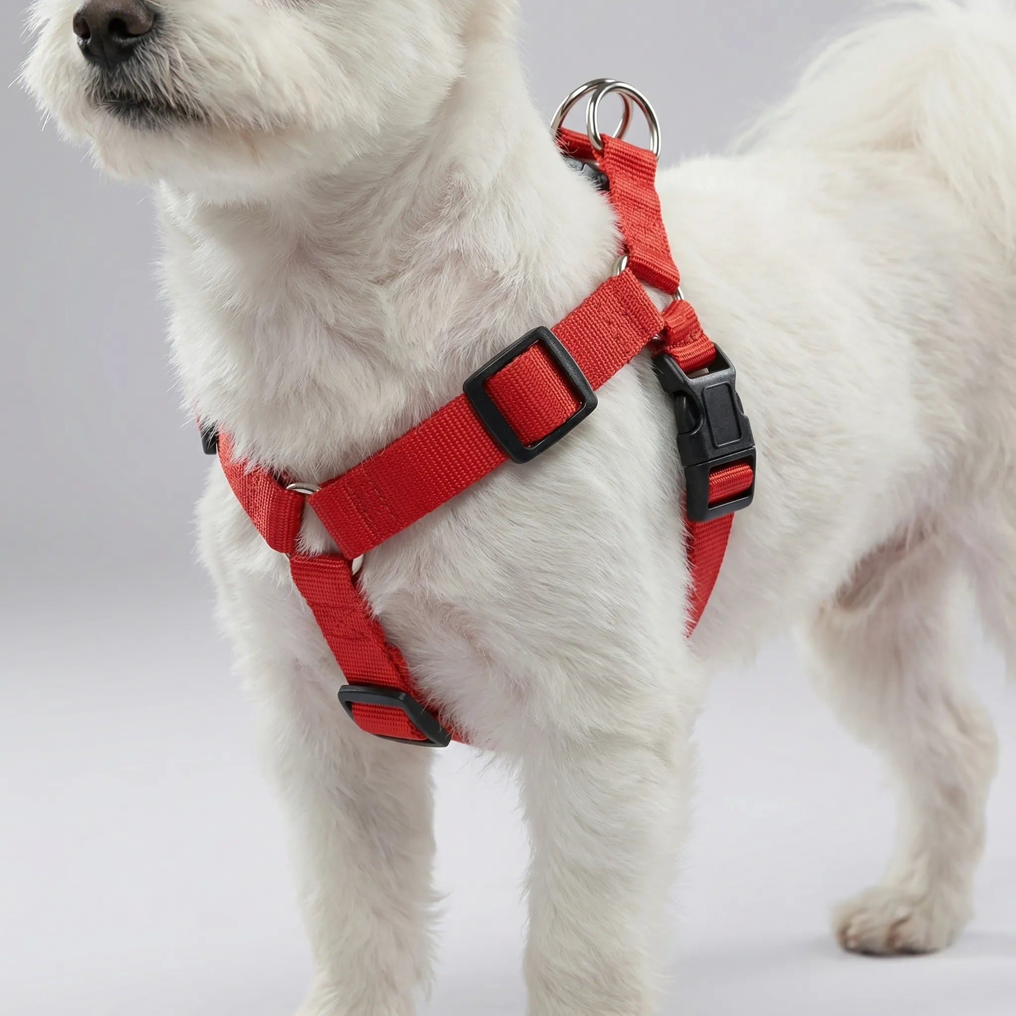 GlowSafe LED Dog Harness USB Rechargeable Reflective Vest