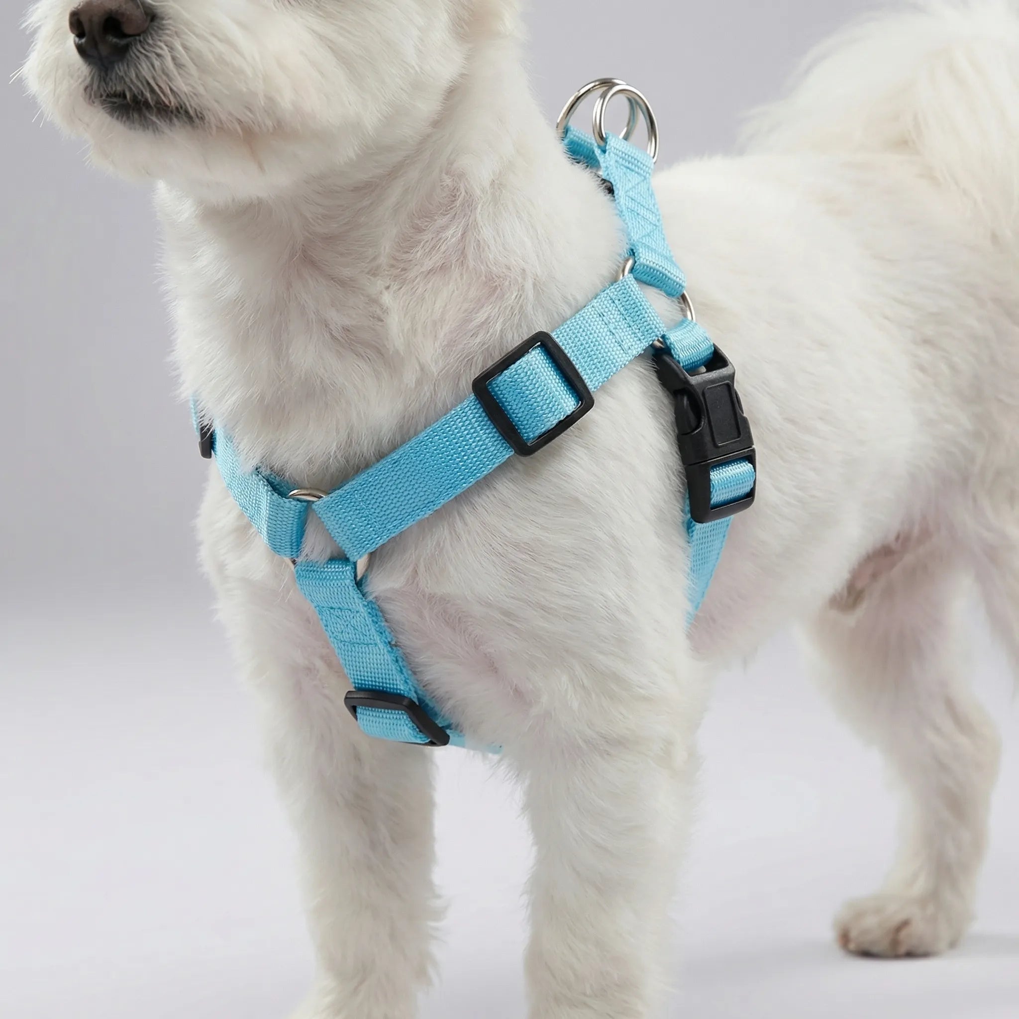 GlowSafe LED Dog Harness USB Rechargeable Reflective Vest