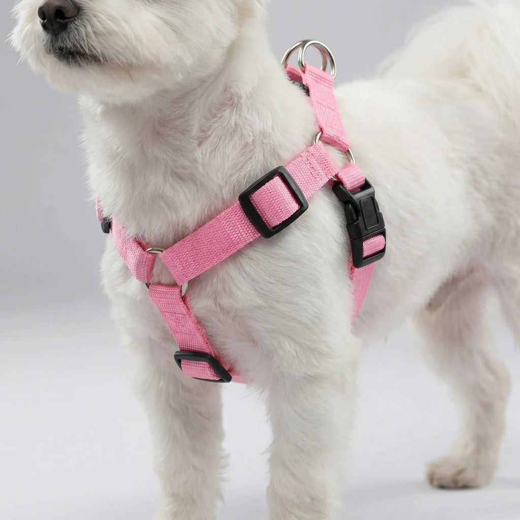 GlowSafe LED Dog Harness USB Rechargeable Reflective Vest