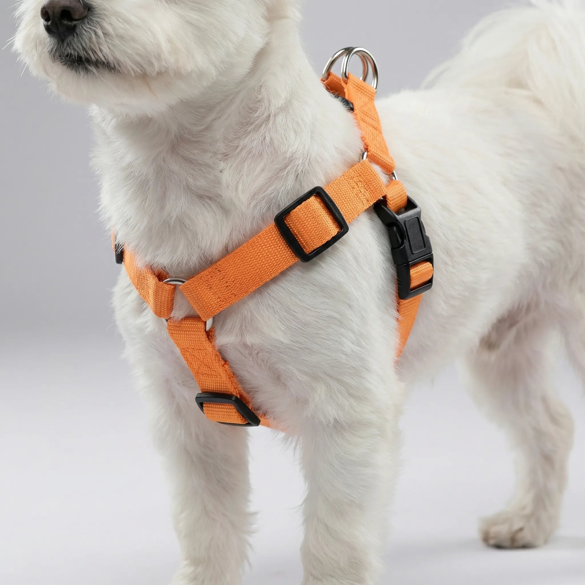 GlowSafe LED Dog Harness USB Rechargeable Reflective Vest