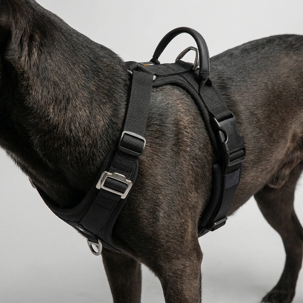ControlFit Adjustable Dog Harness with Front Clip and Handle