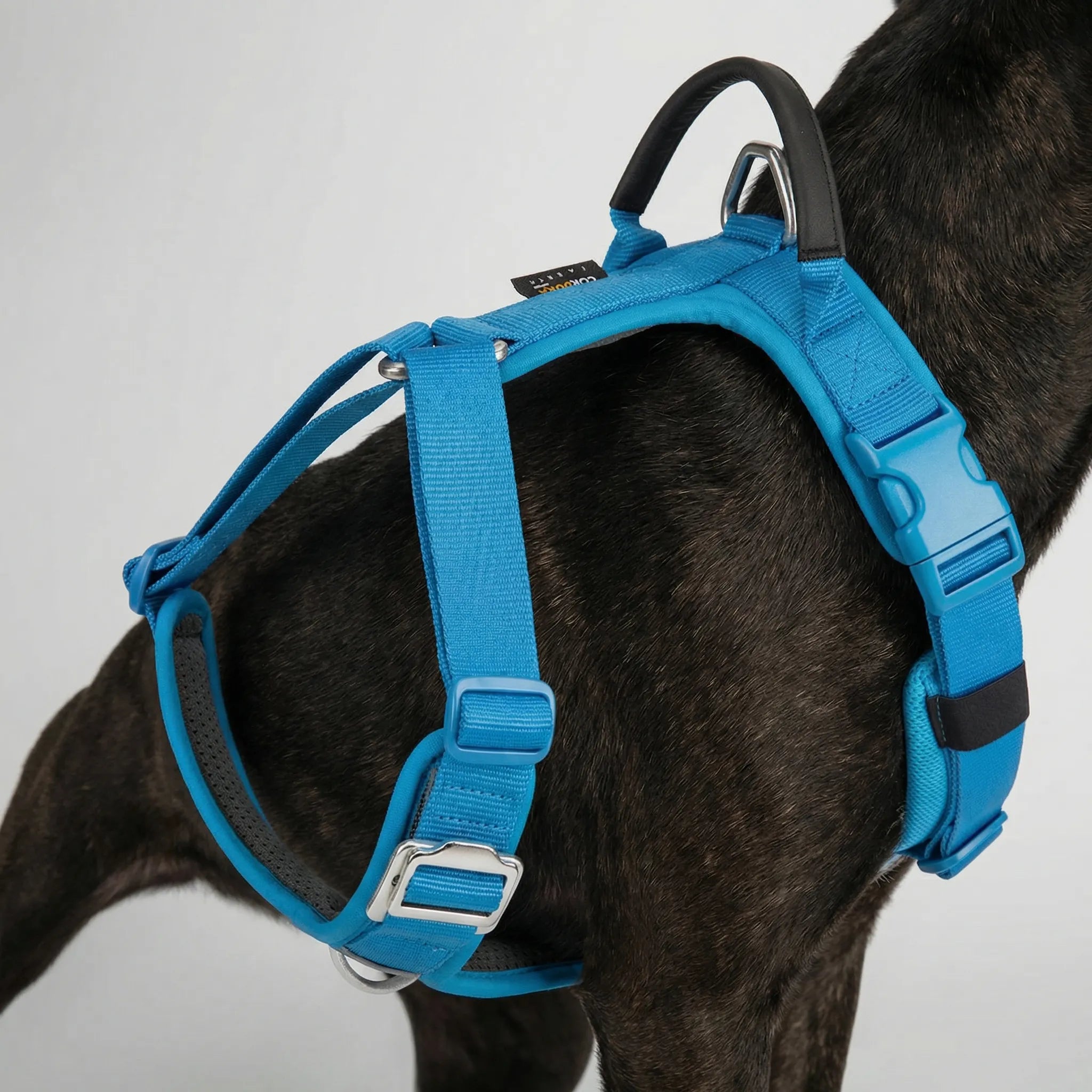 ControlFit Adjustable Dog Harness with Front Clip and Handle