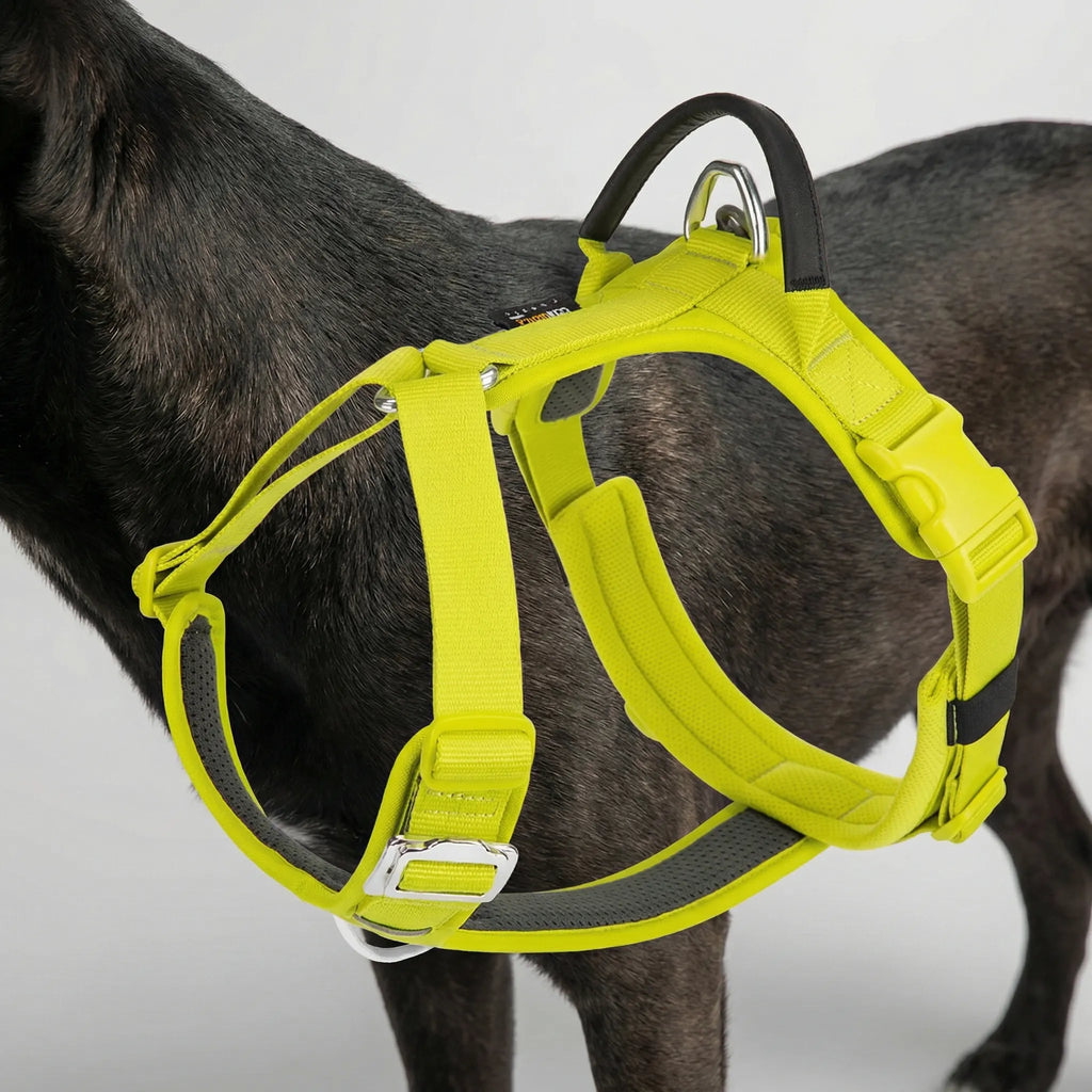 ControlFit Adjustable Dog Harness with Front Clip and Handle
