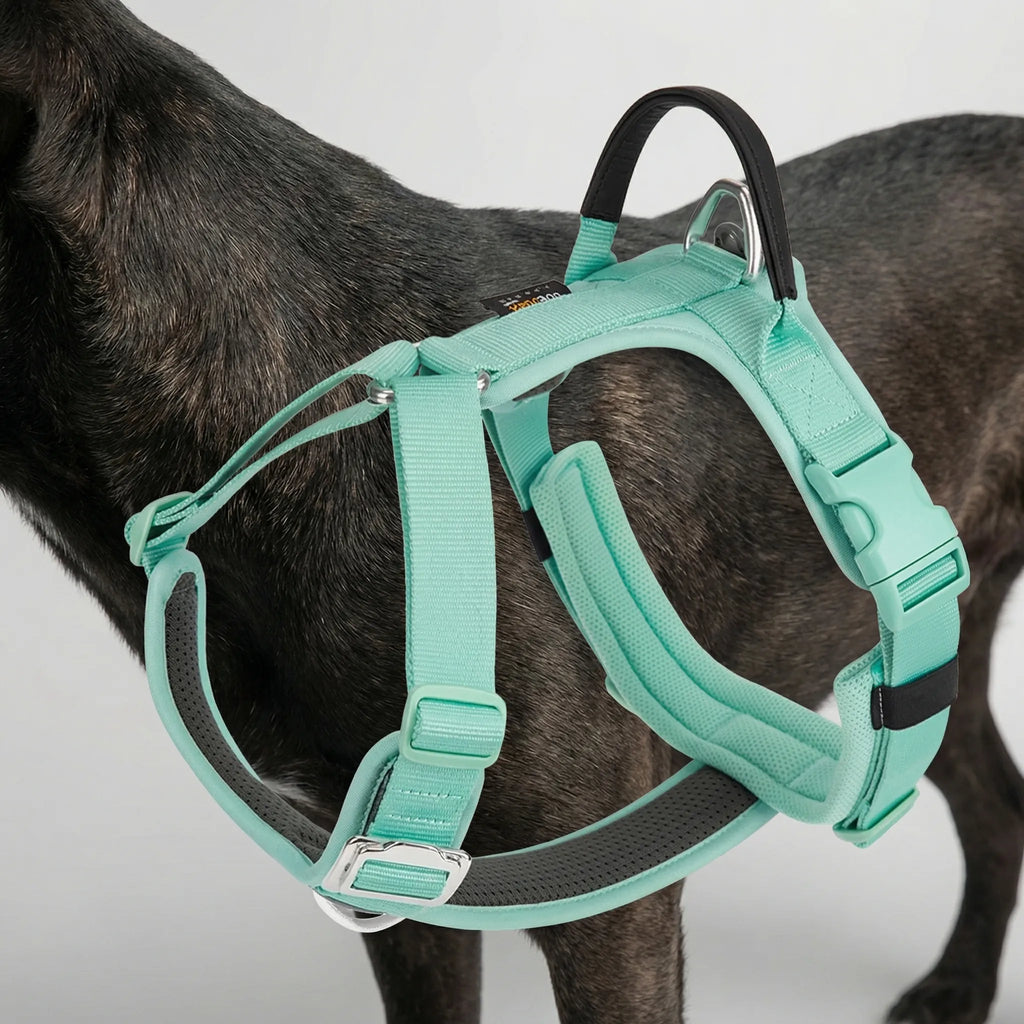 ControlFit Adjustable Dog Harness with Front Clip and Handle