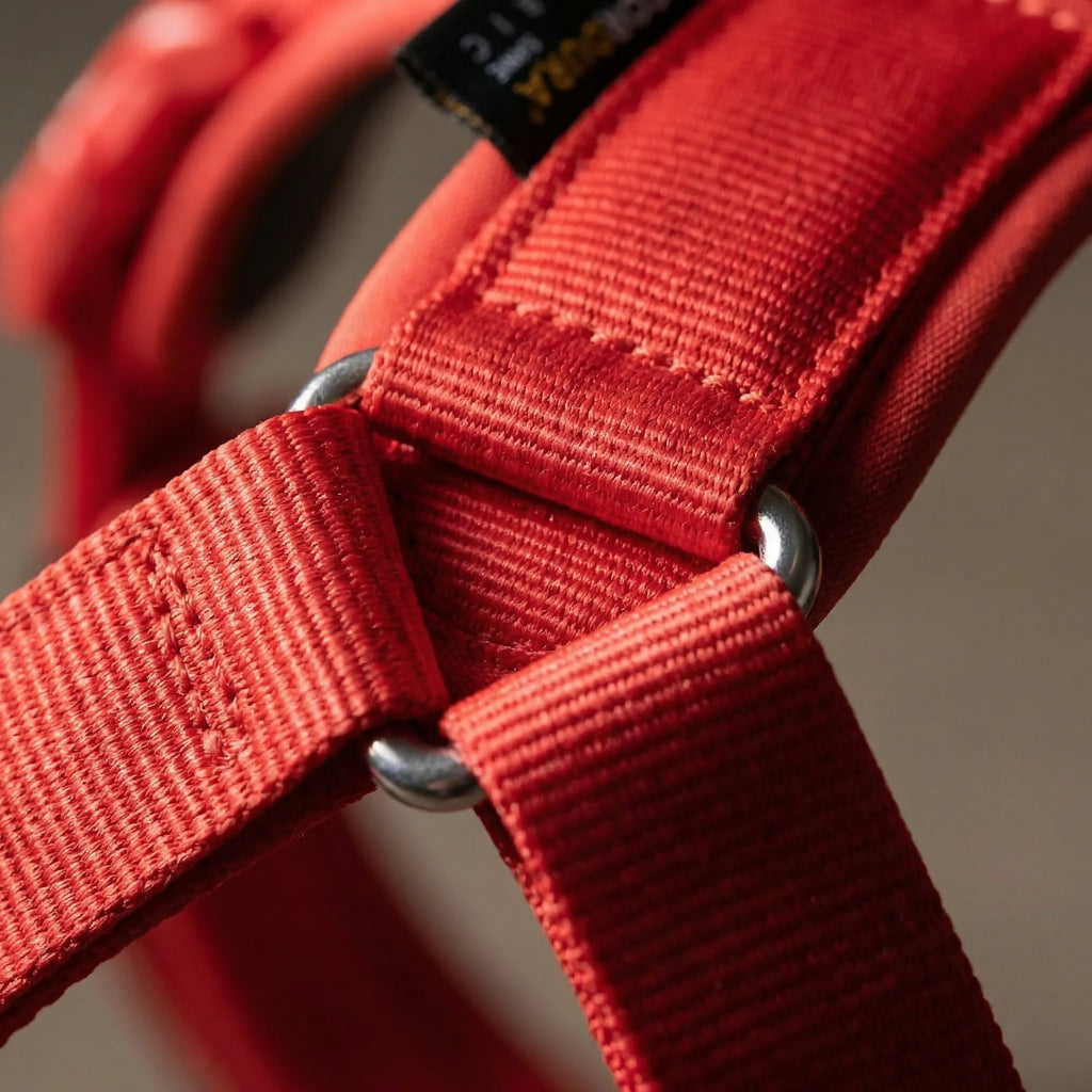 ControlFit Adjustable Dog Harness with Front Clip and Handle