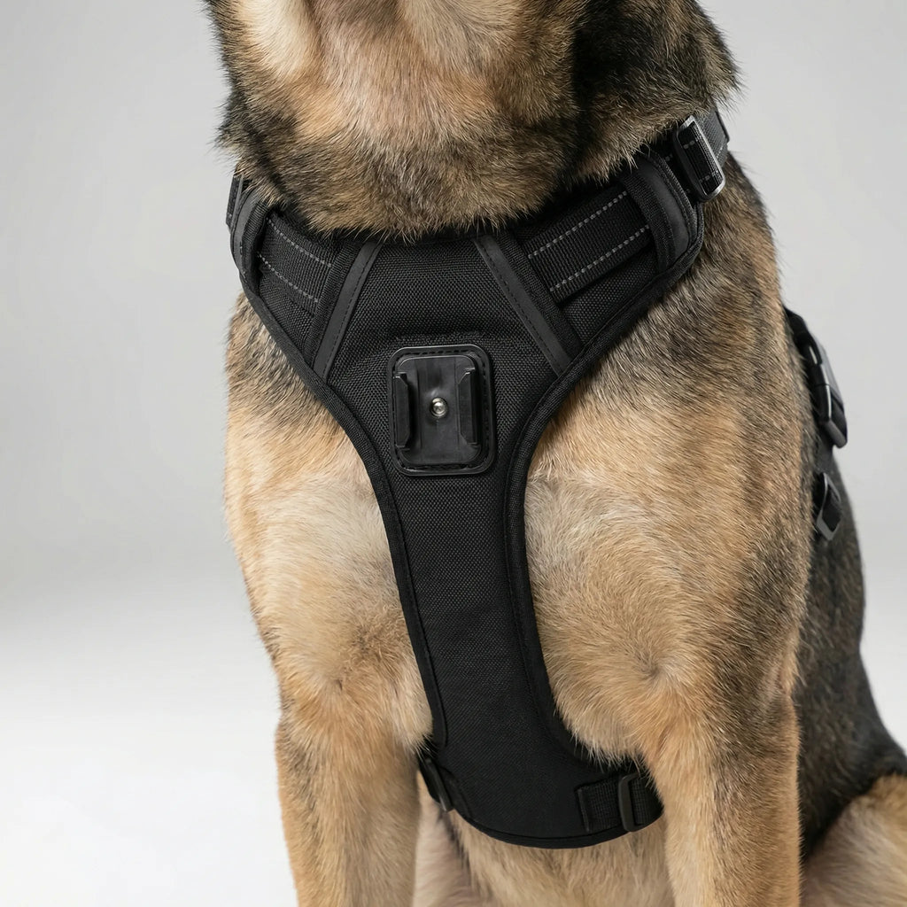PetView Adjustable Action Camera Harness for Dogs and Cats